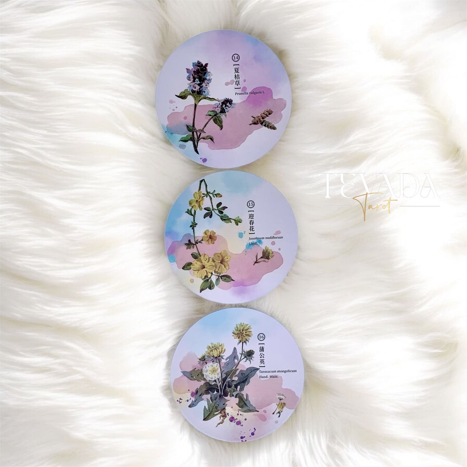 Discover the magic of nature with the Herbal Inspiration Cards. This 36-card oracle deck features botanical wisdom, offering intuitive guidance from healing plants to enrich your spiritual journey.