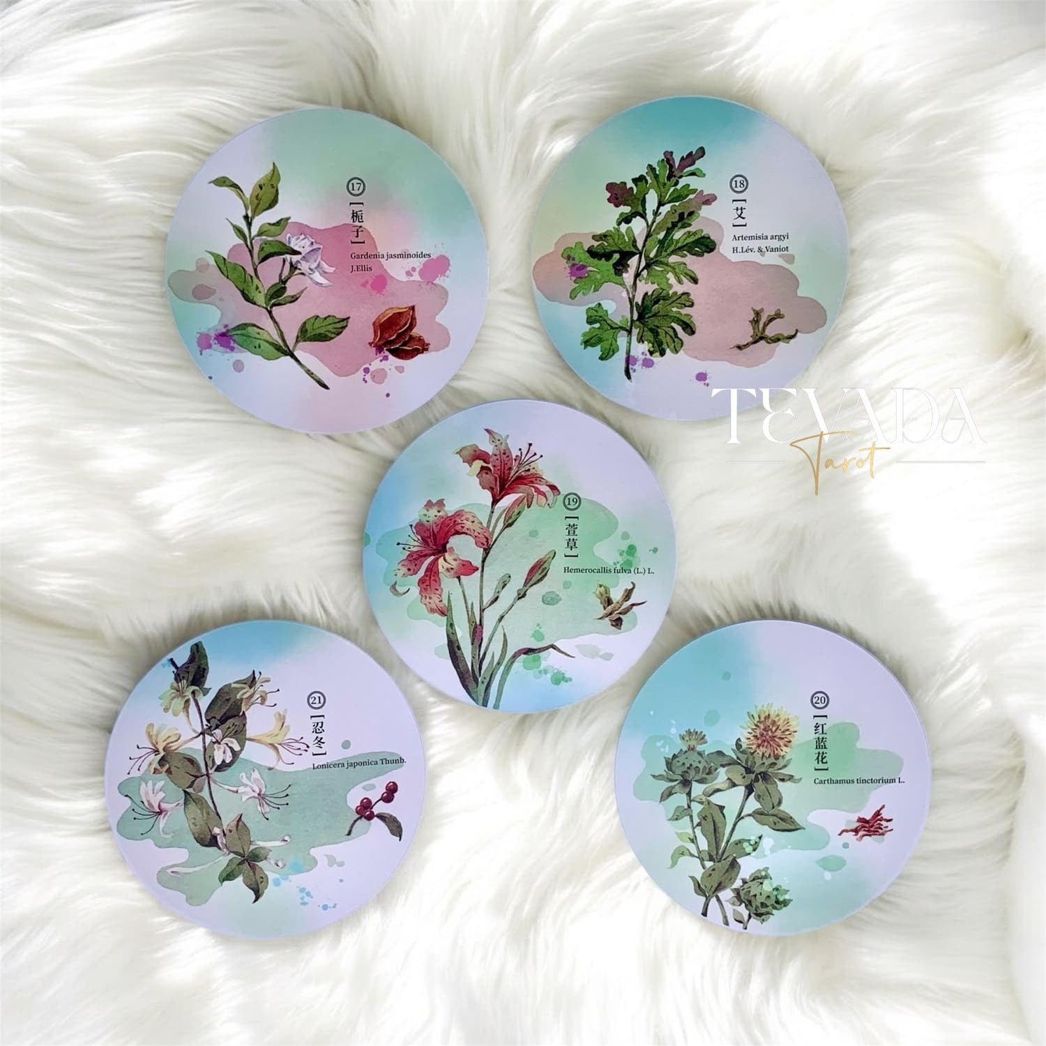 Discover the magic of nature with the Herbal Inspiration Cards. This 36-card oracle deck features botanical wisdom, offering intuitive guidance from healing plants to enrich your spiritual journey.