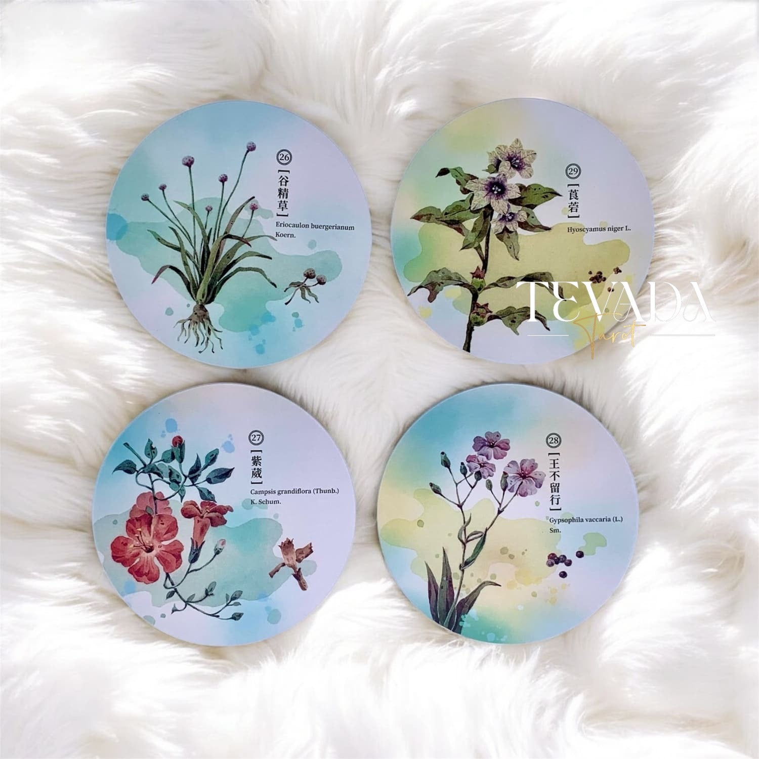 Discover the magic of nature with the Herbal Inspiration Cards. This 36-card oracle deck features botanical wisdom, offering intuitive guidance from healing plants to enrich your spiritual journey.