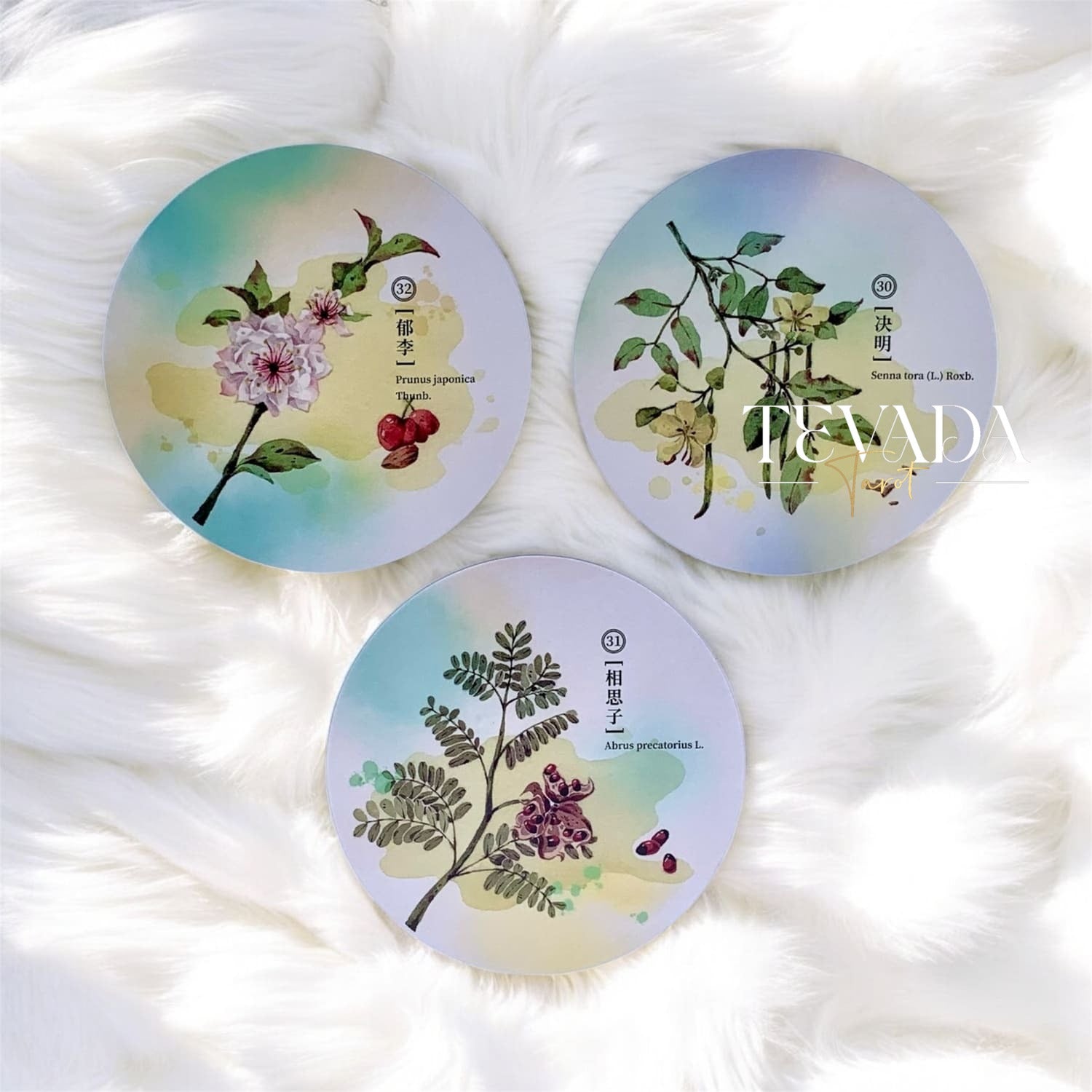 Discover the magic of nature with the Herbal Inspiration Cards. This 36-card oracle deck features botanical wisdom, offering intuitive guidance from healing plants to enrich your spiritual journey.