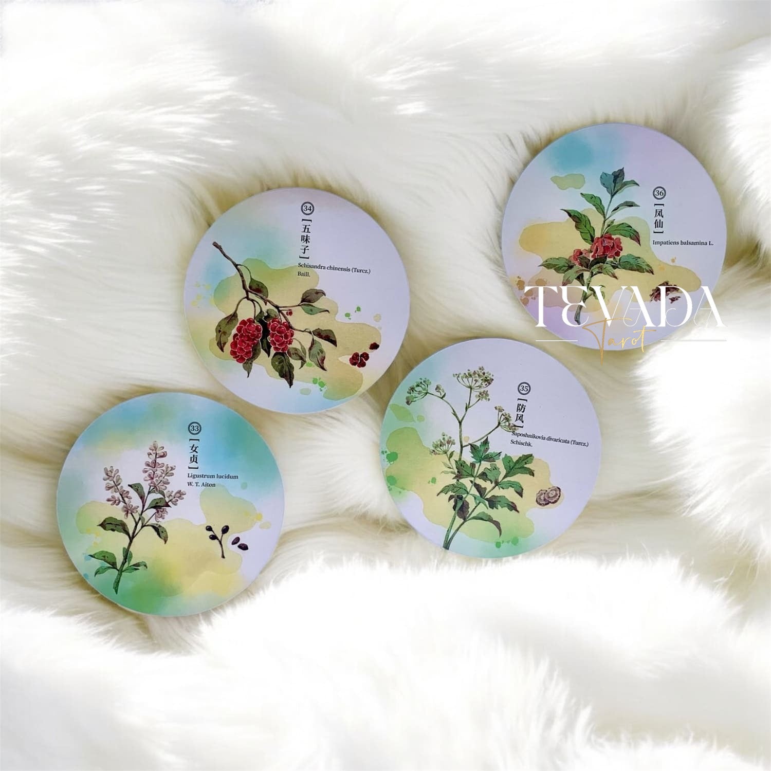 Discover the magic of nature with the Herbal Inspiration Cards. This 36-card oracle deck features botanical wisdom, offering intuitive guidance from healing plants to enrich your spiritual journey.