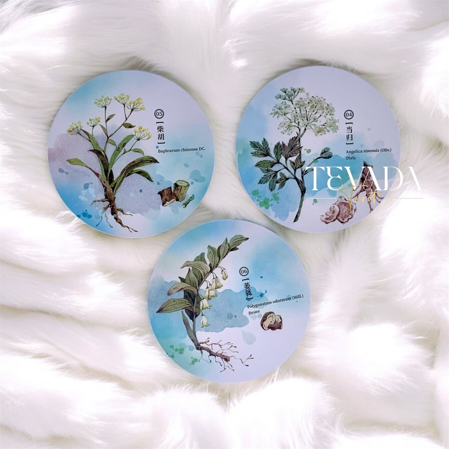 Discover the magic of nature with the Herbal Inspiration Cards. This 36-card oracle deck features botanical wisdom, offering intuitive guidance from healing plants to enrich your spiritual journey.