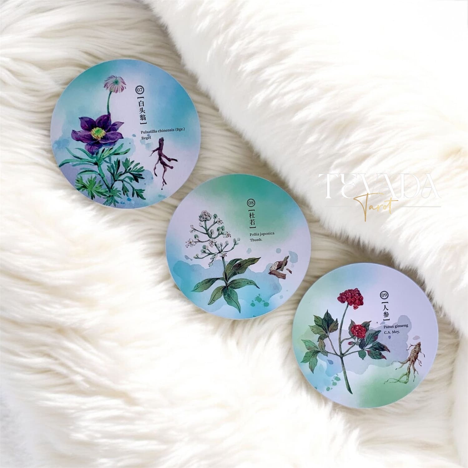 Discover the magic of nature with the Herbal Inspiration Cards. This 36-card oracle deck features botanical wisdom, offering intuitive guidance from healing plants to enrich your spiritual journey.