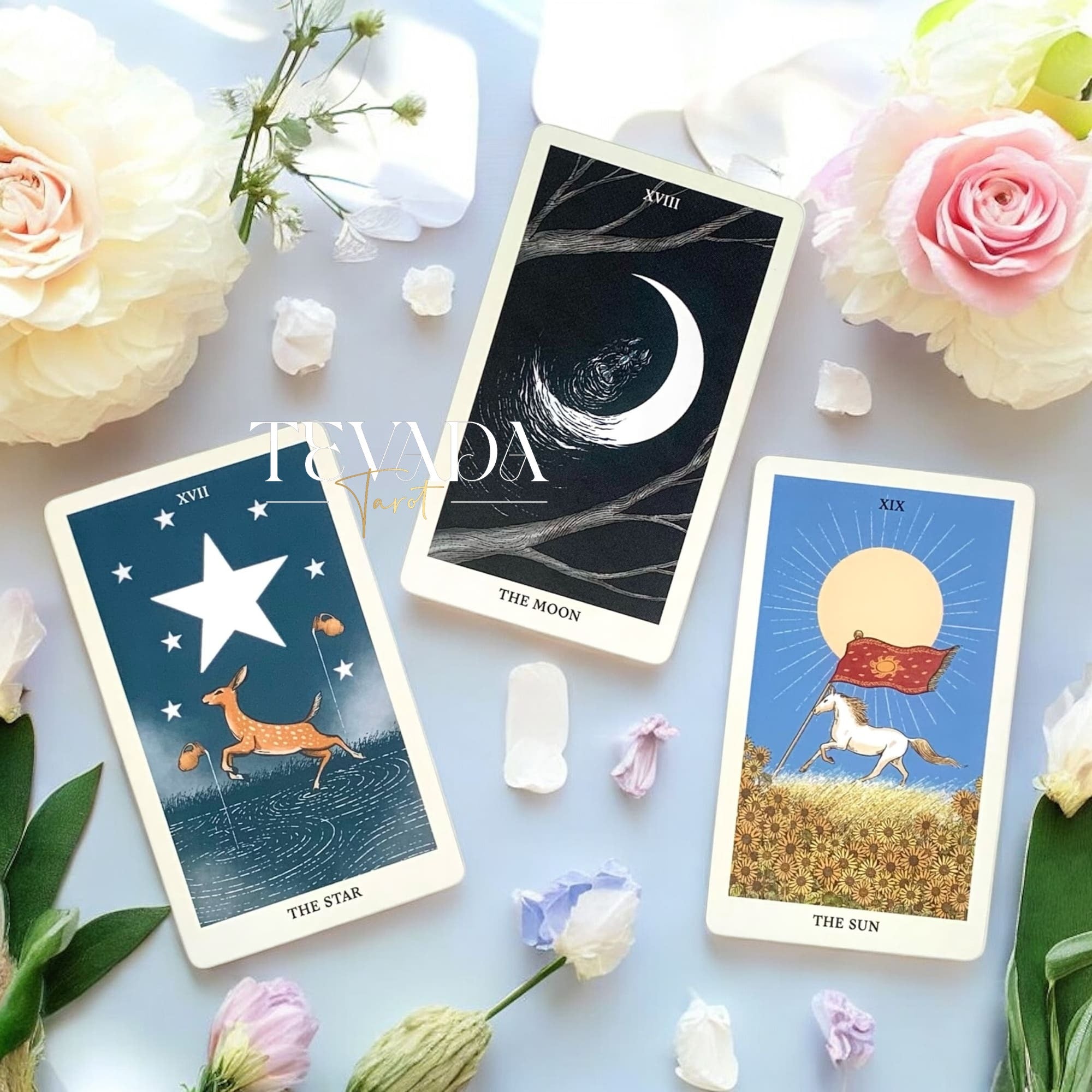 Embark on a journey of self-discovery and spiritual enlightenment with the Into the Wild Tarot & Oracle Deck. With stunning illustrations of animals in the wild and a unique blend of tarot and oracle cards.