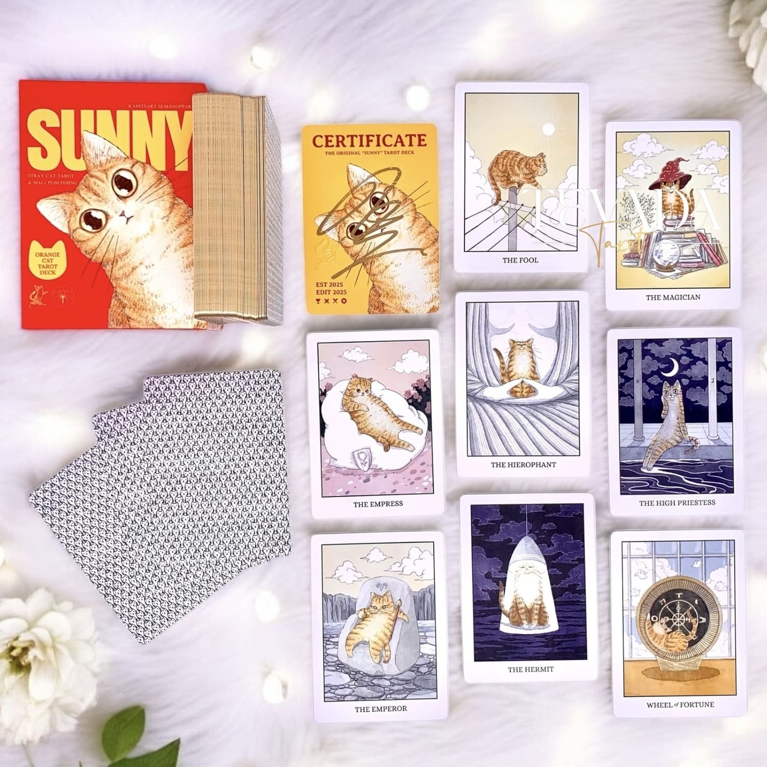 Sunny Orange Cat Tarot