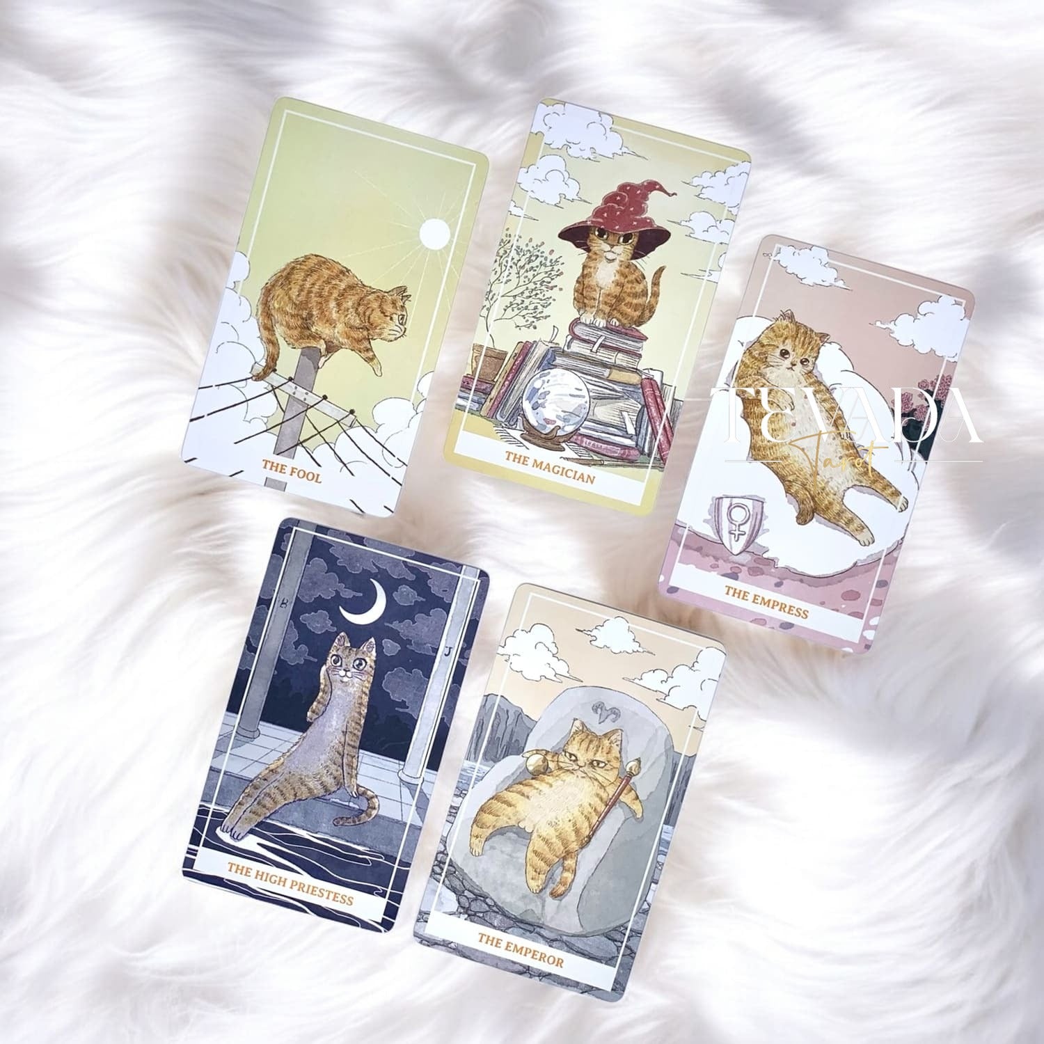 Discover the magic of Sunny Tarot! This 78-card deck blends playful orange cat energy with intuitive guidance, bringing warmth, joy, and clarity to your readings. Perfect for tarot lovers of all levels!