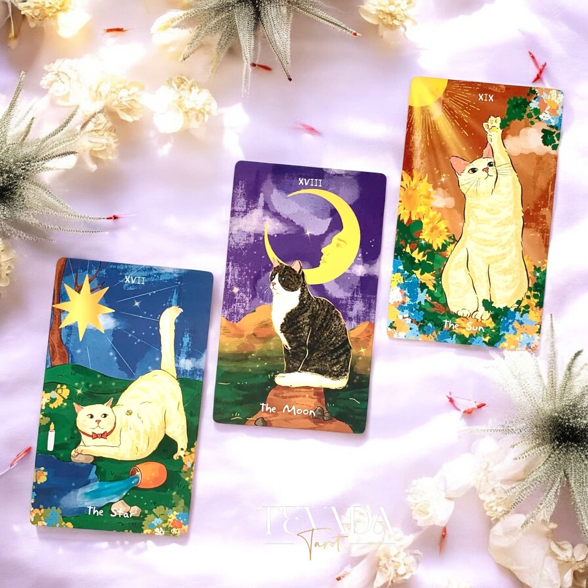 Discover The Revelation of the Cat Spirit Tarotâan intuitive, magical 78-card deck offering feline wisdom, clear guidance, and charming cat-themed divination for daily clarity and spiritual growth.