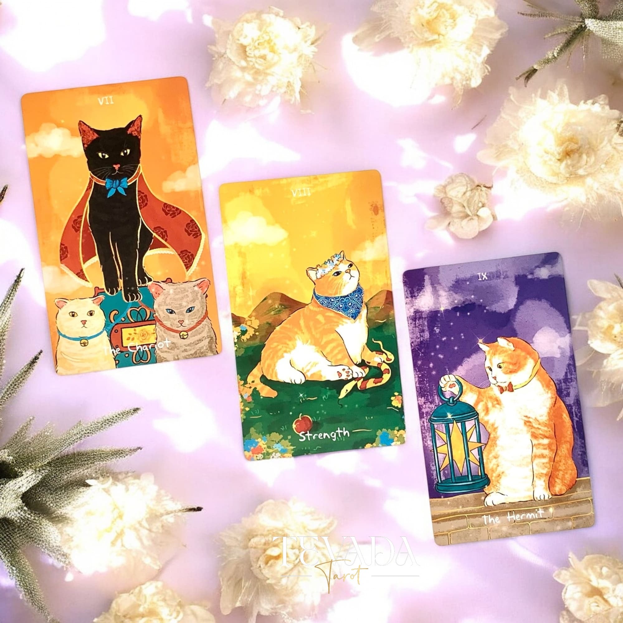 Discover The Revelation of the Cat Spirit Tarotâan intuitive, magical 78-card deck offering feline wisdom, clear guidance, and charming cat-themed divination for daily clarity and spiritual growth.