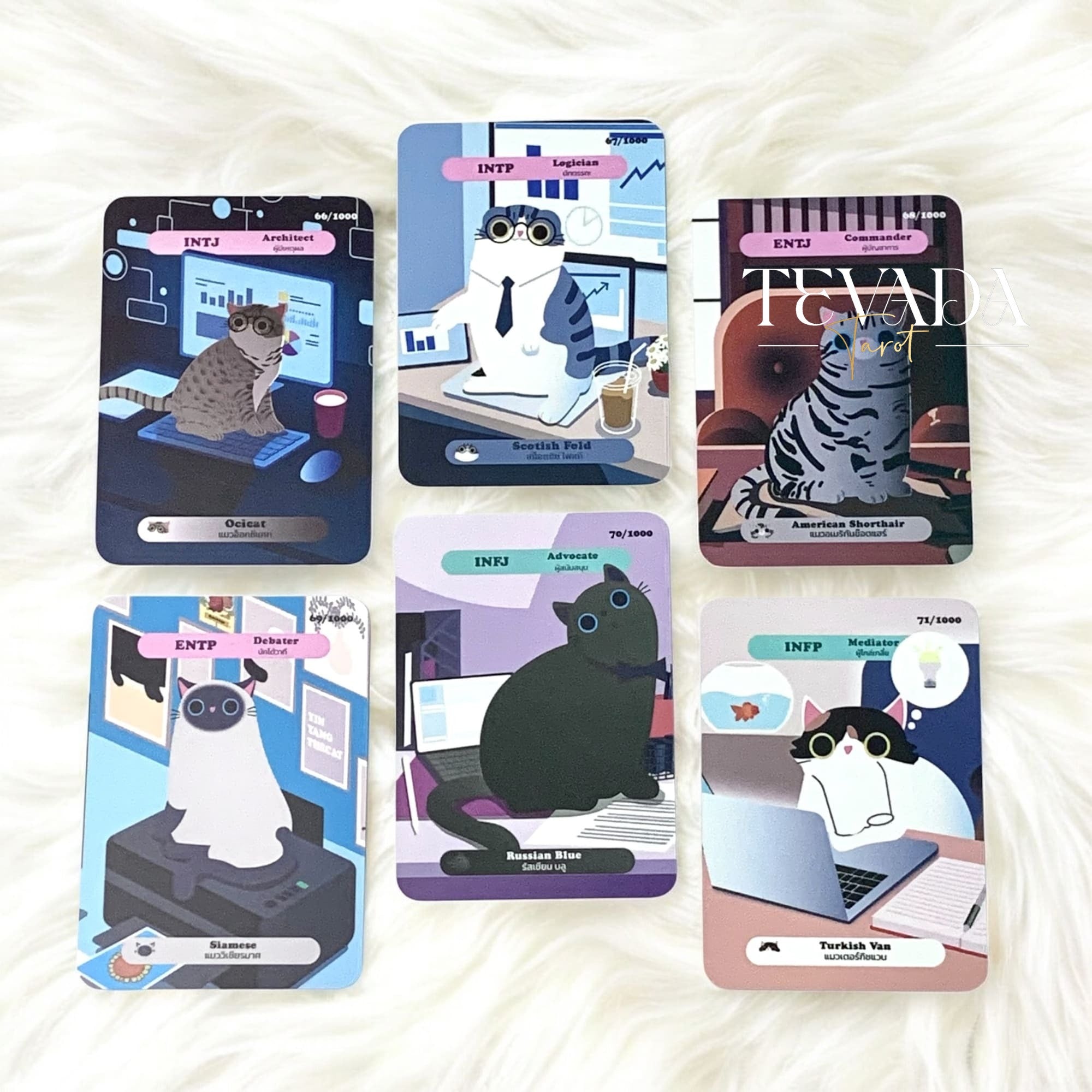Unleash your inner office cat with the Salary Cat Oracle—a witty 30-card deck for daily insight, emotional clarity, and hilarious work-life divination. Perfect for readers who hustle and nap.