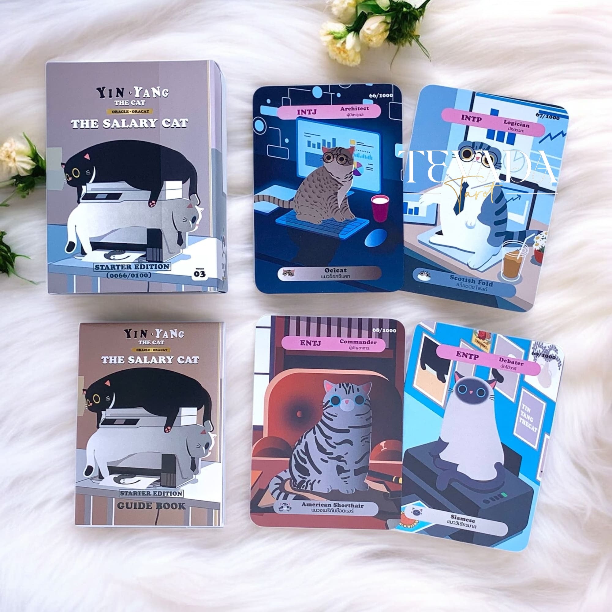 Unleash your inner office cat with the Salary Cat Oracle—a witty 30-card deck for daily insight, emotional clarity, and hilarious work-life divination. Perfect for readers who hustle and nap.