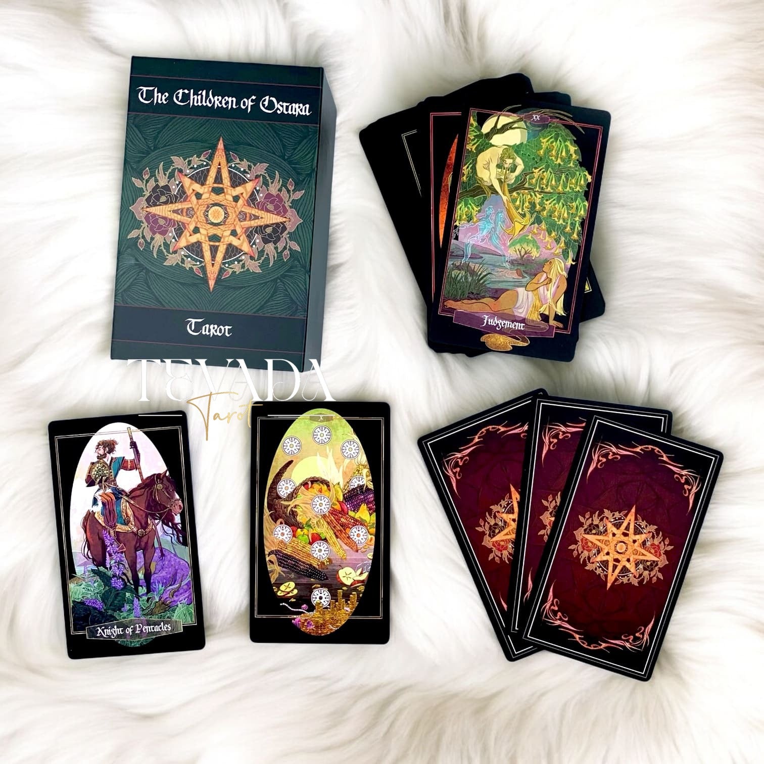 Children of Ostara Tarot BLACK Edition : Un jeu botanique de 78 cartes présentant des plantes aux significations magiques. Connectez-vous à la sagesse de la nature et améliorez vos lectures de tarot avec des correspondances élémentaires.