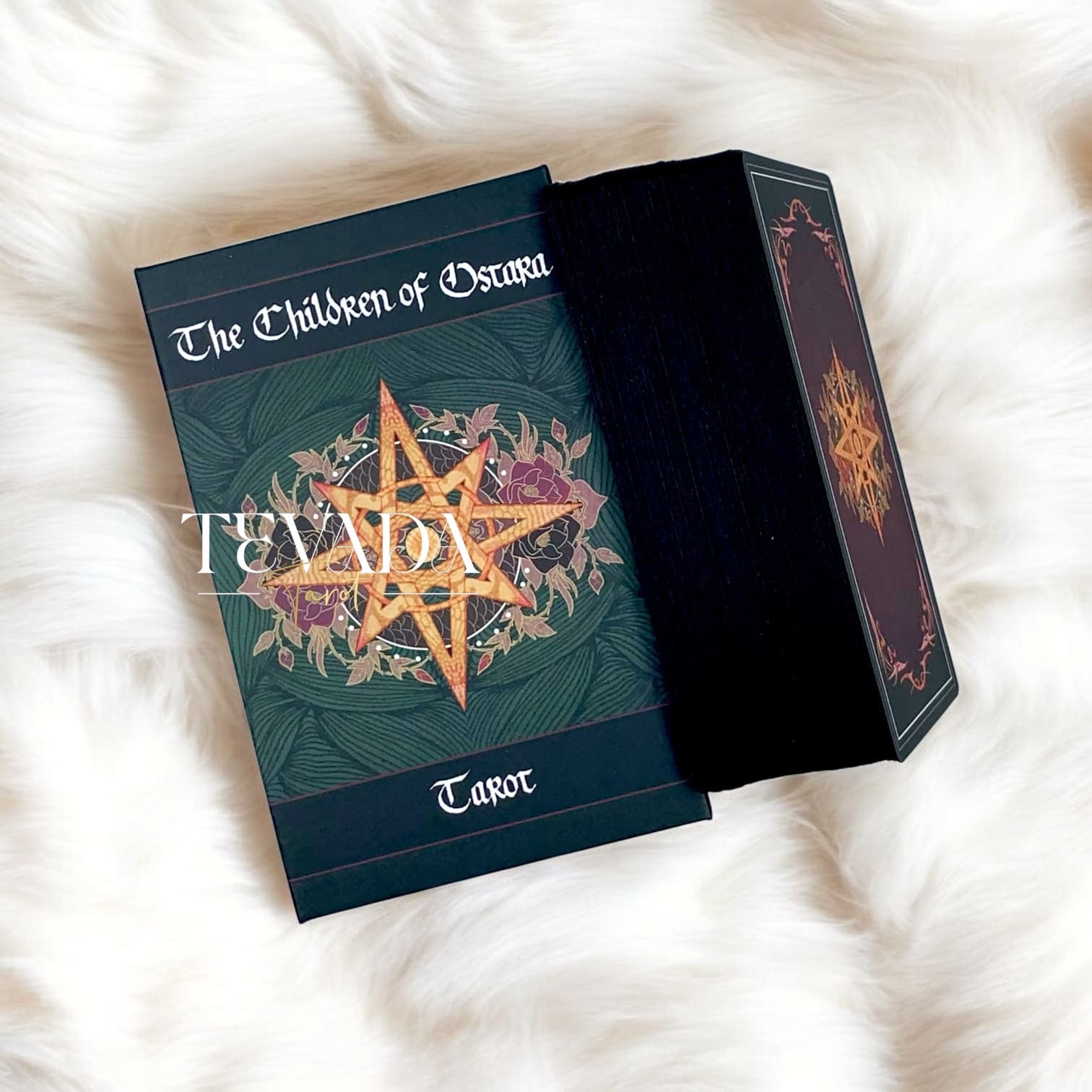 Children of Ostara Tarot BLACK Edition : Un jeu botanique de 78 cartes présentant des plantes aux significations magiques. Connectez-vous à la sagesse de la nature et améliorez vos lectures de tarot avec des correspondances élémentaires.