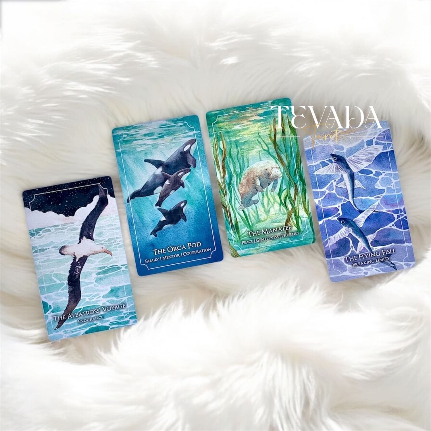 Explore serenity with the Dreaming Waves Oracle. Soft feather whispers and ocean waves inspire hope, strength, and grace in this beautiful 60-card deck perfect for self-reflection and growth.