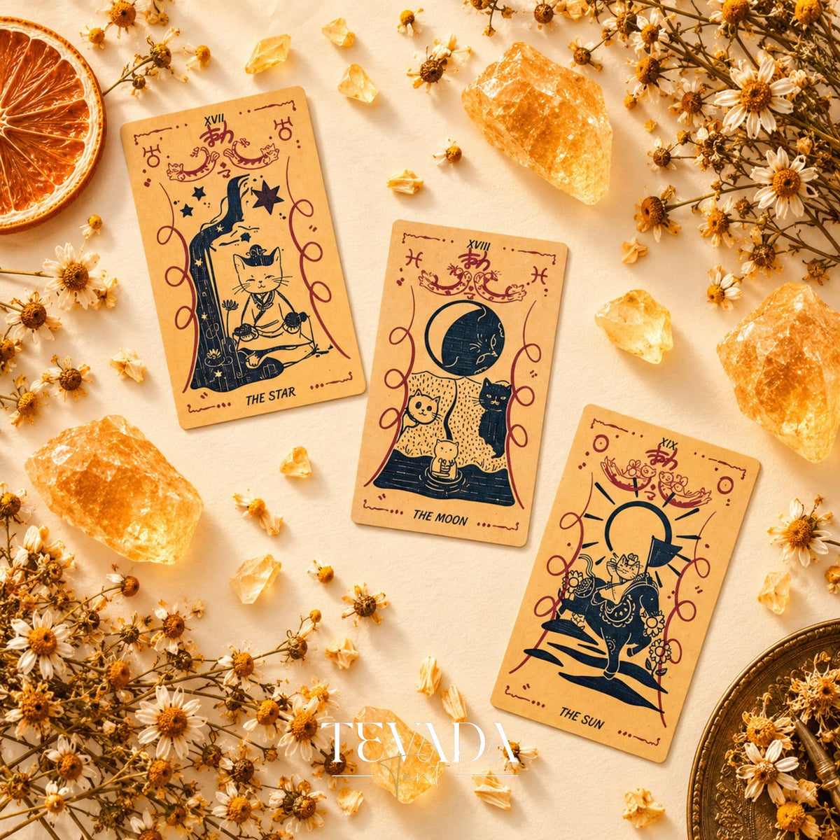 Cat Charm Tarot Deck product scene with colorful feline cards, the rigid box, and warm decorative accents.