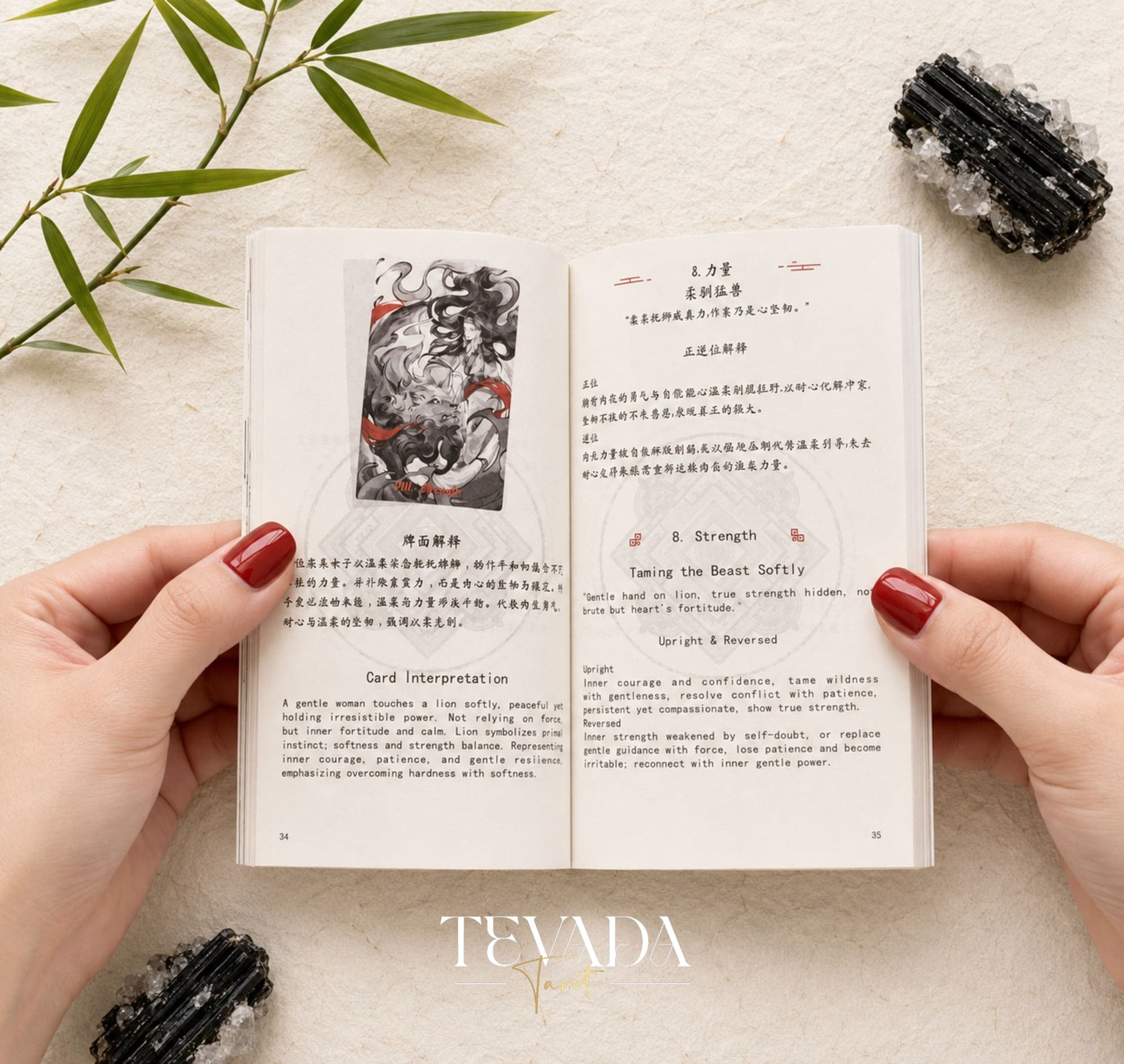 Daoist Drift Tarot Collector&