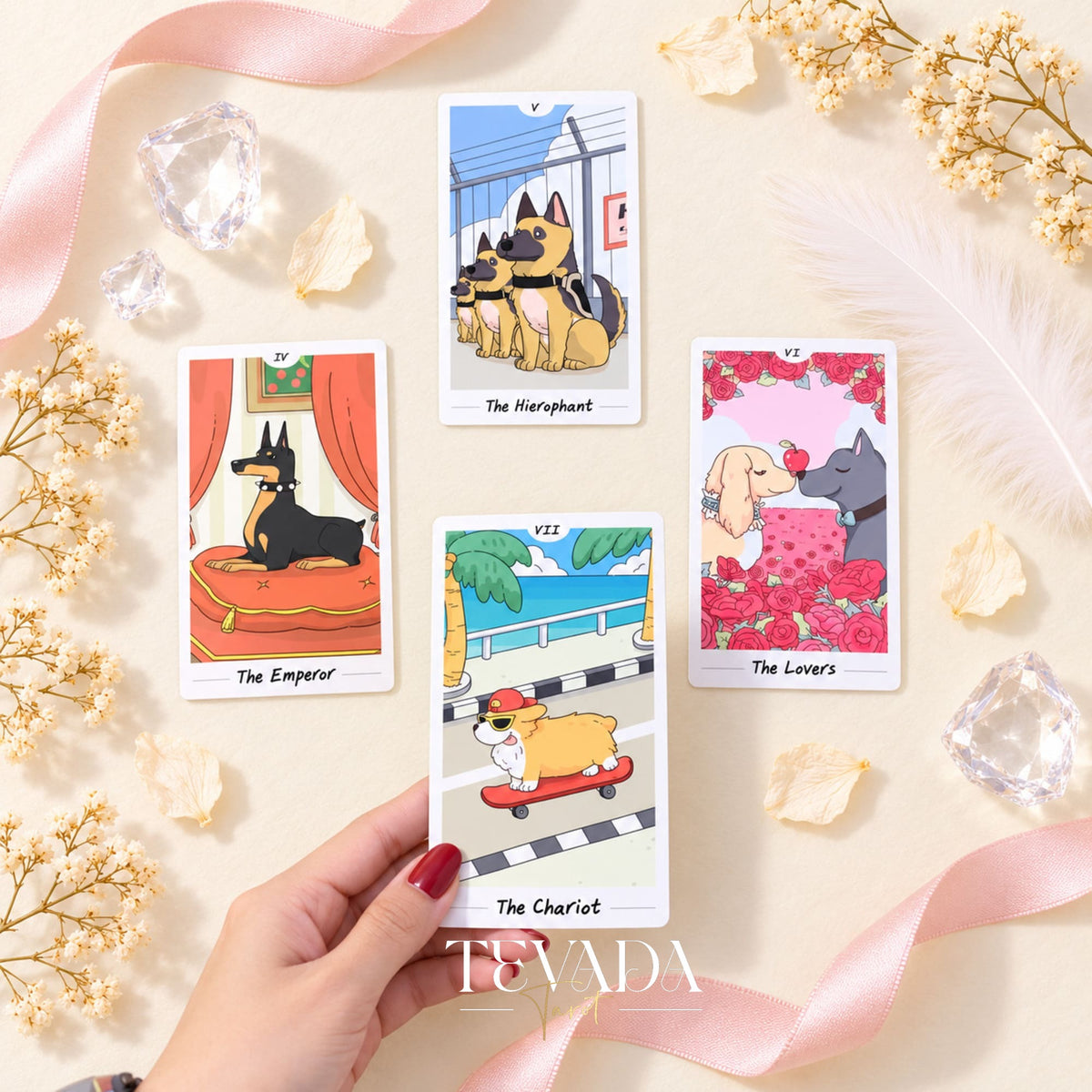 Dog has its day Tarot Deck pastel canine cartoon cards for gentle daily reflection