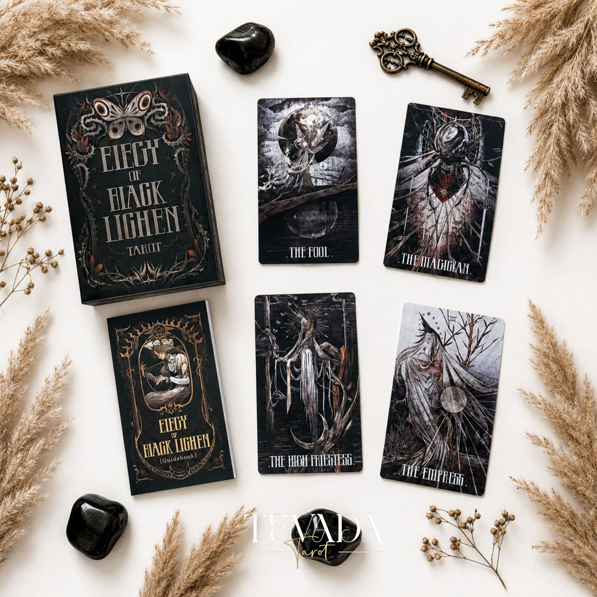 Elegy of Black Lichen Tarot Standard Edition dark fantasy Indie Tarot Deck for shadow work