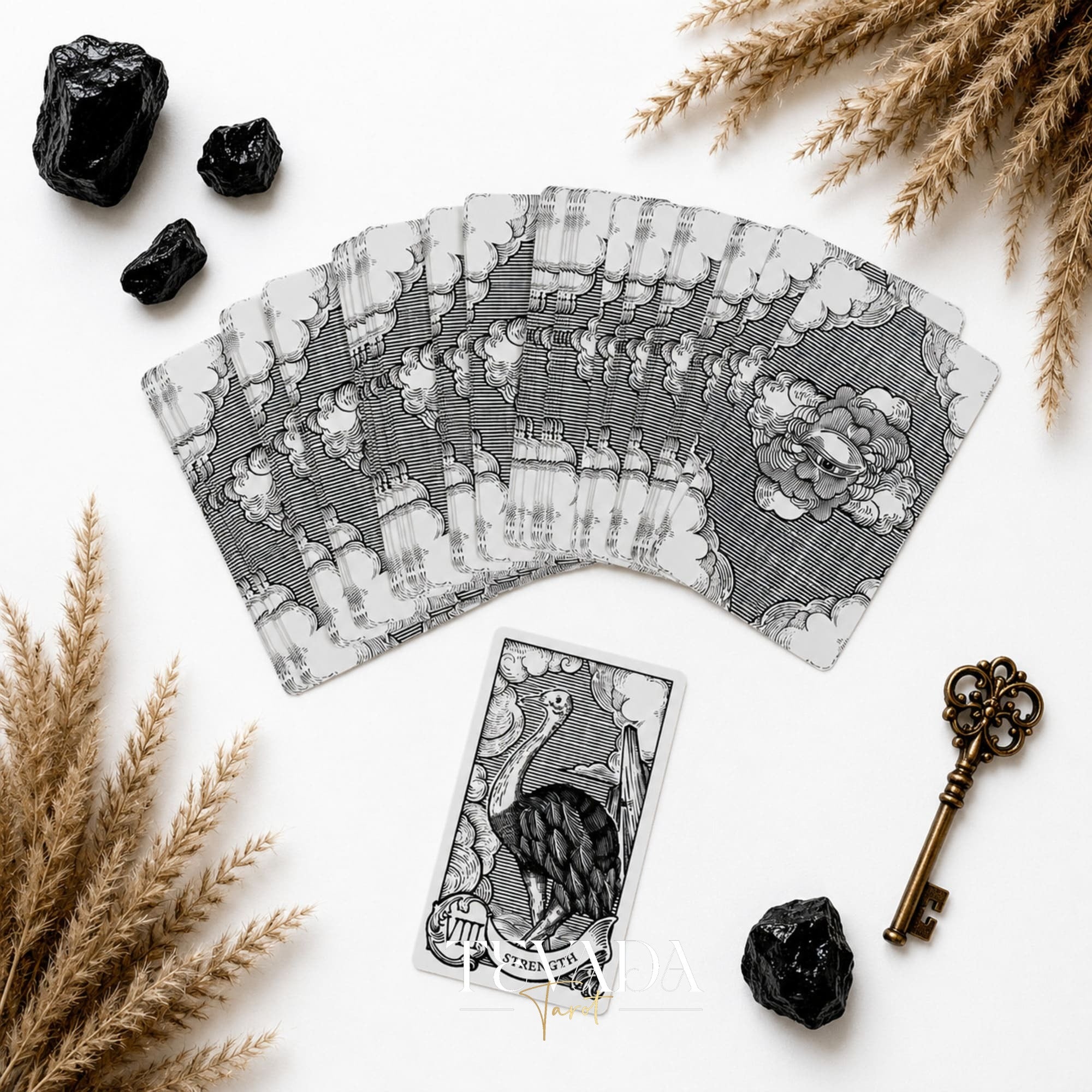 Quill and Ink Tarot vintage bird illustration deck for gentle Rider Waite-inspired readings.