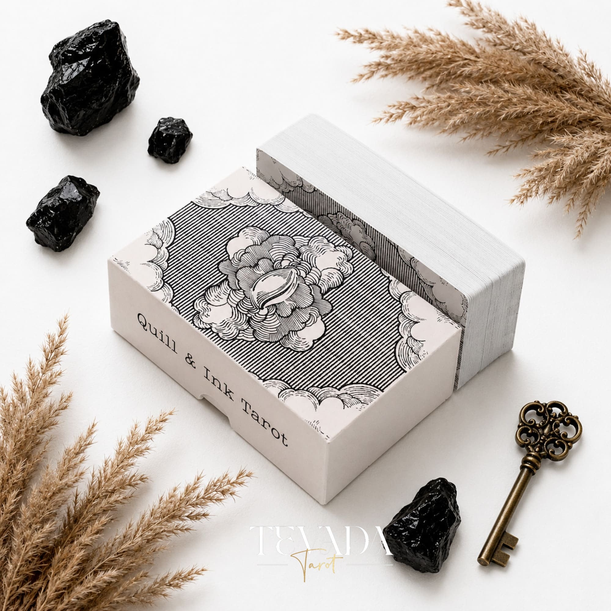 Quill and Ink Tarot vintage bird illustration deck for gentle Rider Waite-inspired readings.