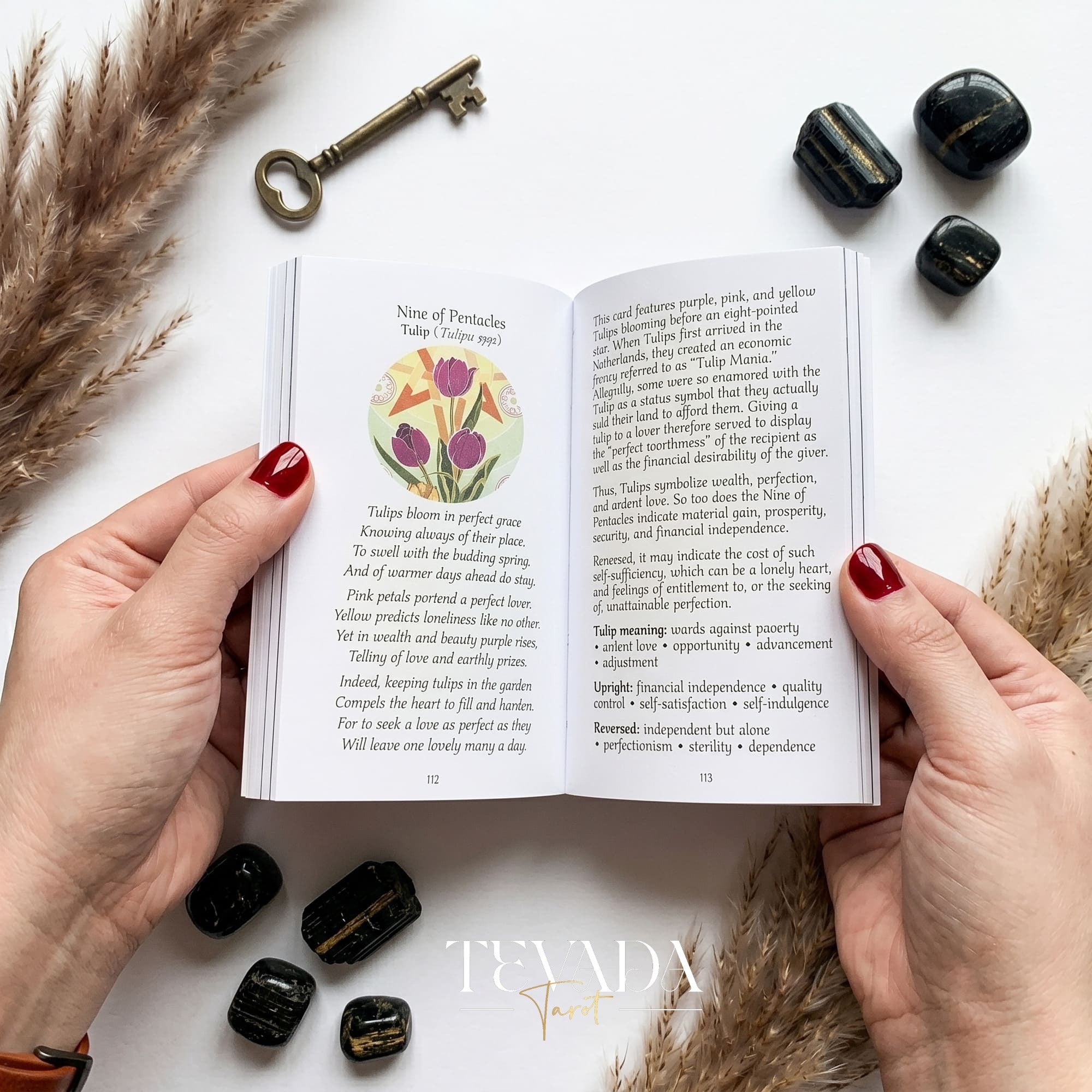 The Children of Ostara Tarot BLACK Edition は、魔法と癒しのための神秘的な植物のインディー タロット デッキです。