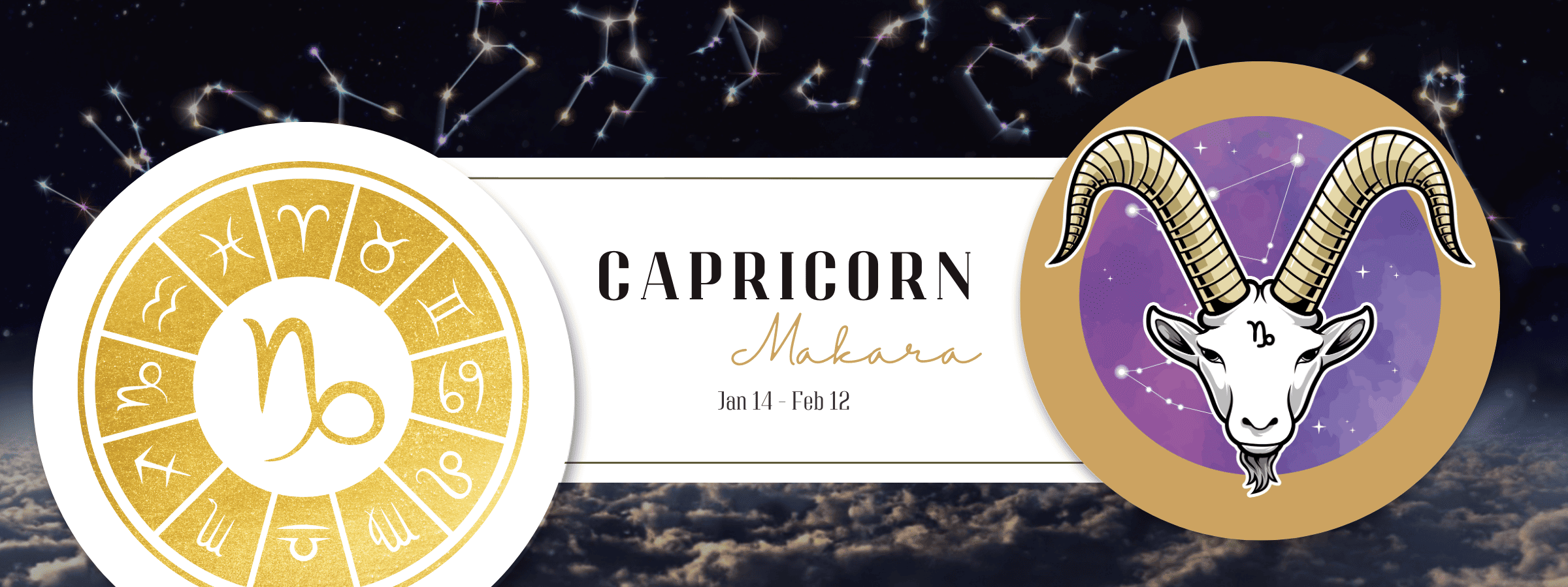 Capricorn March 2025 Forecast | TEVADA