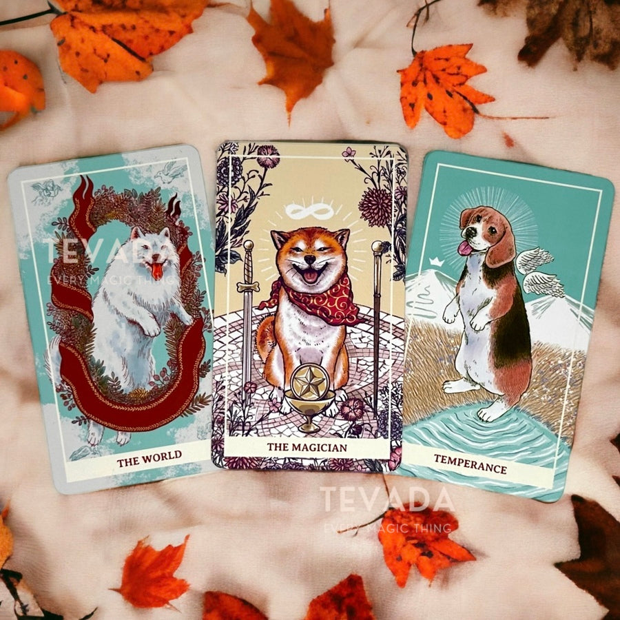 Unlock the magic within you with Aibo Tarot II, the cutest Tarot deck around! Journey through 78 adorably illustrated dog cards for intuitive, joyful readings.