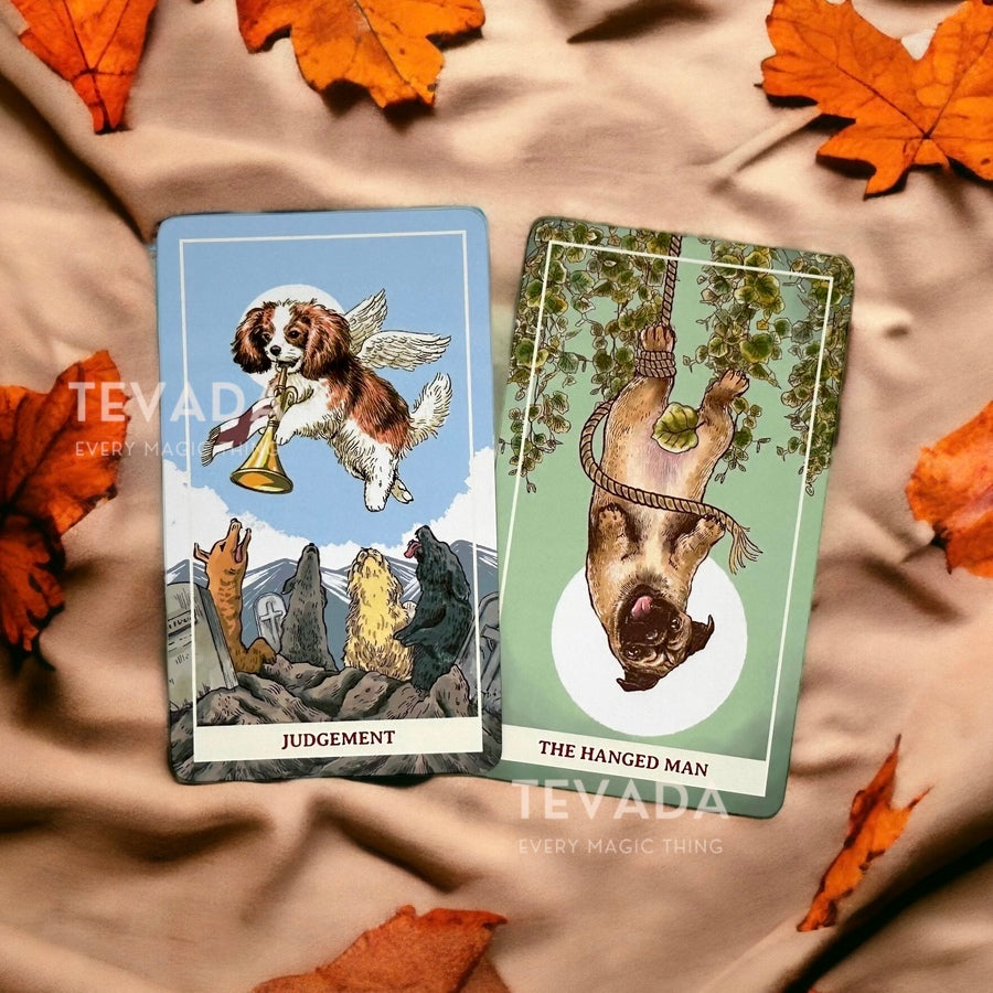 Unlock the magic within you with Aibo Tarot II, the cutest Tarot deck around! Journey through 78 adorably illustrated dog cards for intuitive, joyful readings.