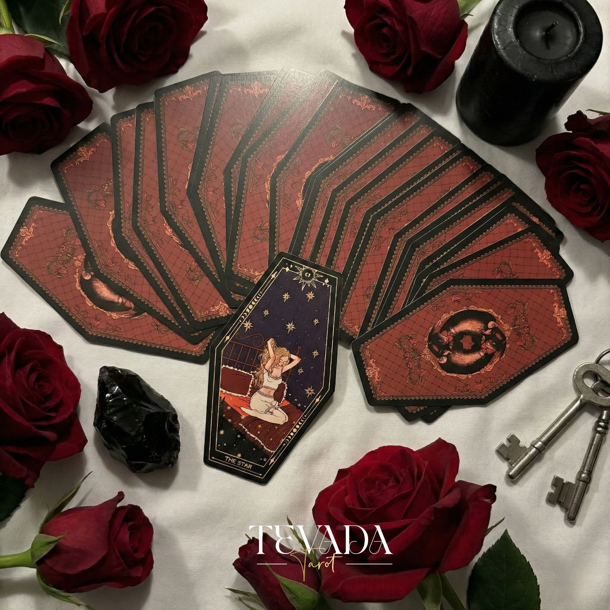 Aisling Tarot Gilded Edt featuring gothic violin art and coffin box for shadow work divination.