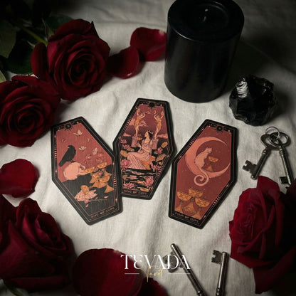 Aisling Tarot Gilded Edt featuring gothic violin art and coffin box for shadow work divination.