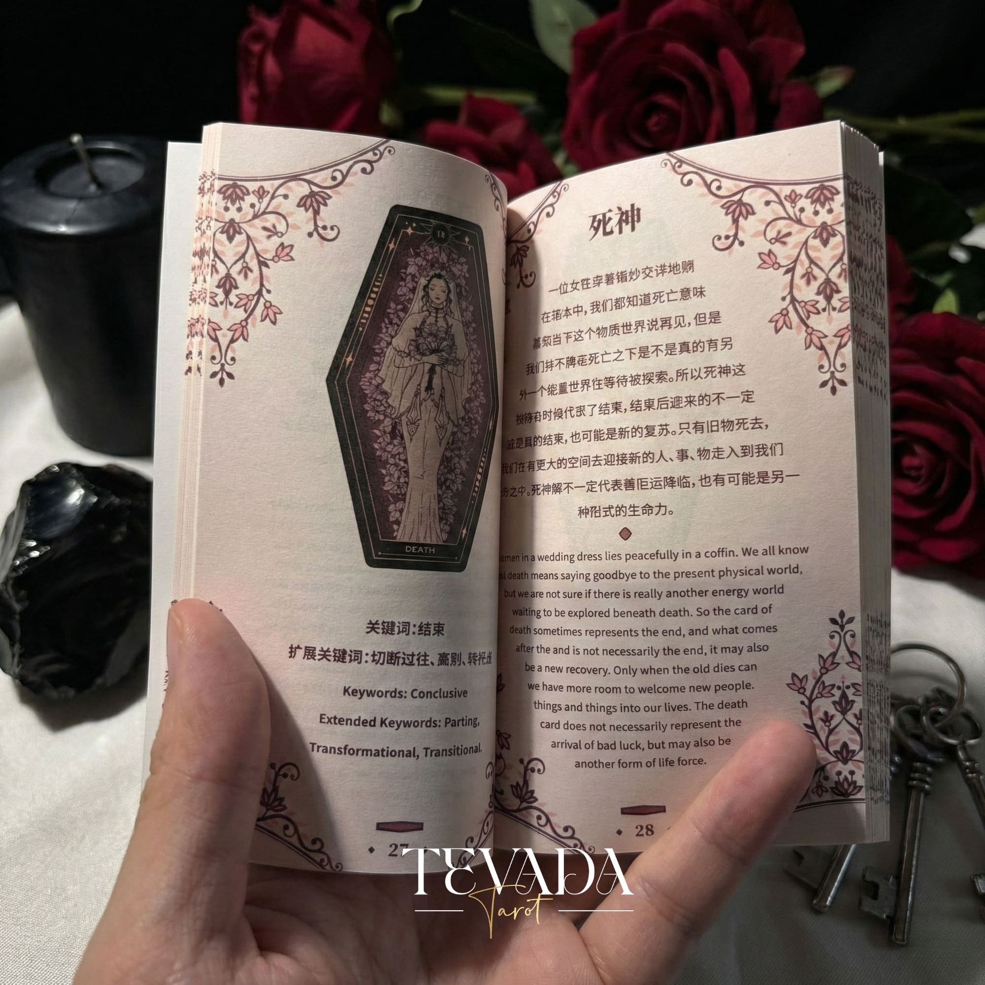 Aisling Tarot Gilded Edt featuring gothic violin art and coffin box for shadow work divination.