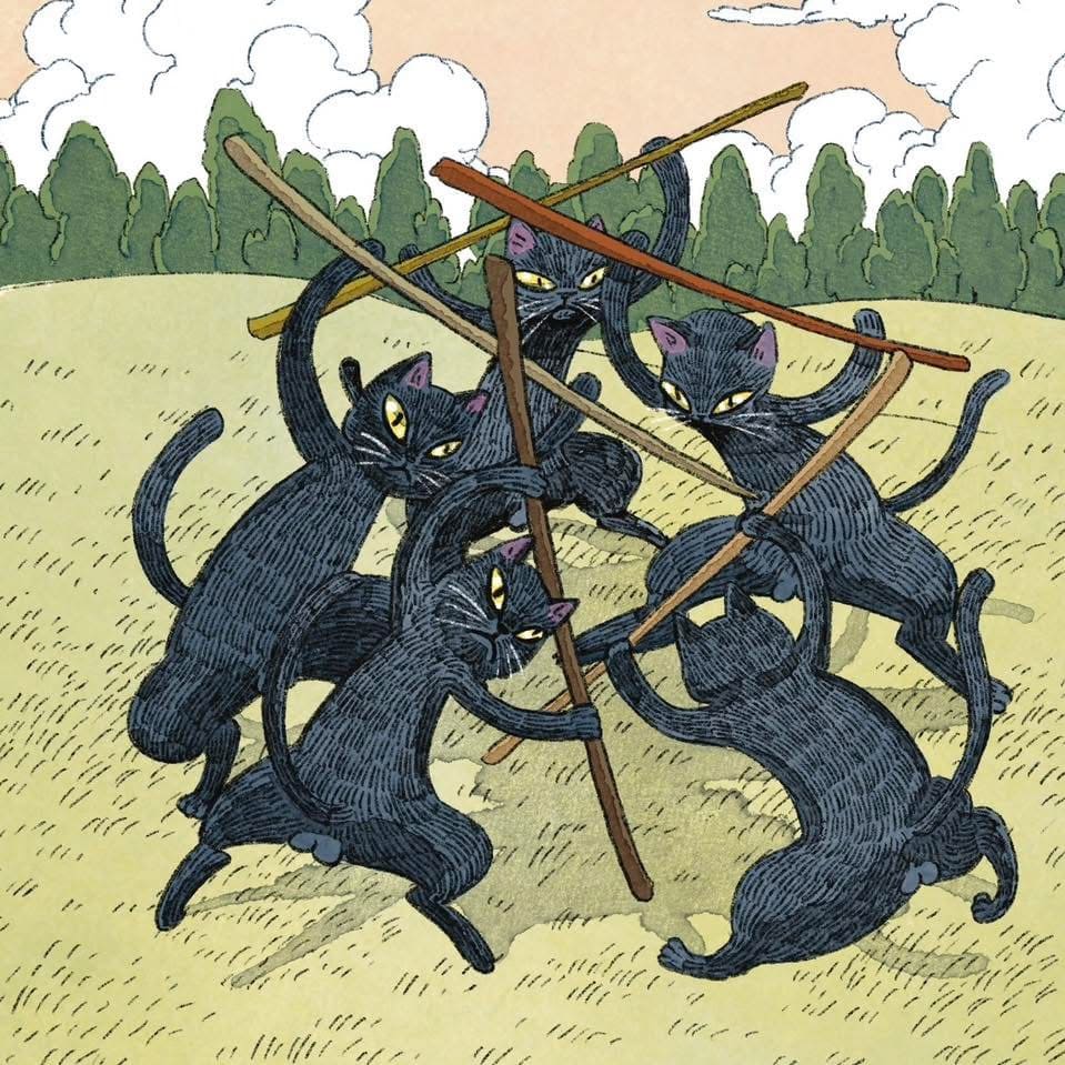 【Available in Jan】Coco Black Cat Tarot PRO Edition