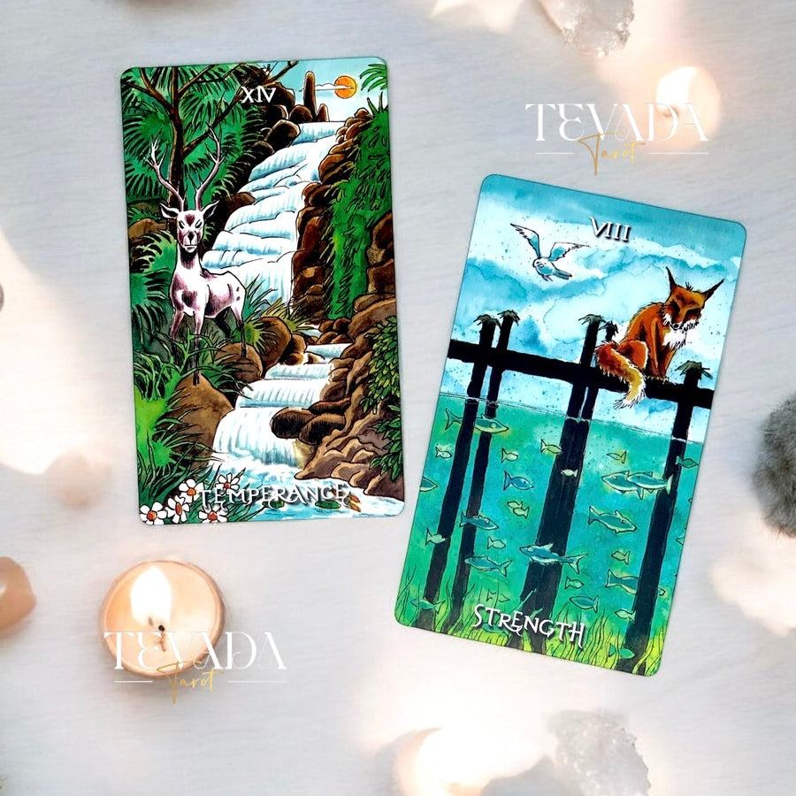 Unveil the magic of the Deep Water Tarot. This 78-card deck in vibrant watercolors guides you on an intuitive journey, revealing wisdom and clarity from mystical underwater creatures.