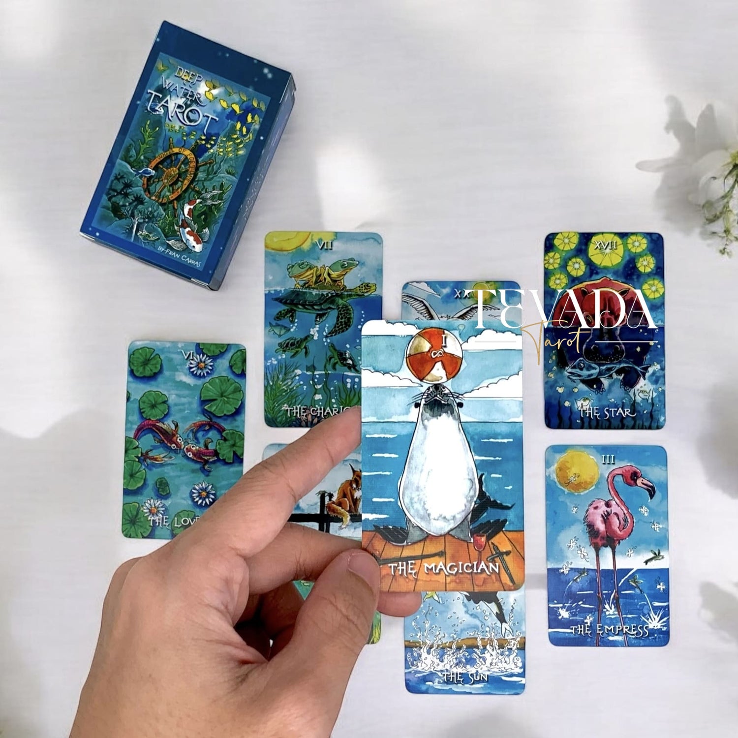 Unveil the magic of the Deep Water Tarot. This 78-card deck in vibrant watercolors guides you on an intuitive journey, revealing wisdom and clarity from mystical underwater creatures.