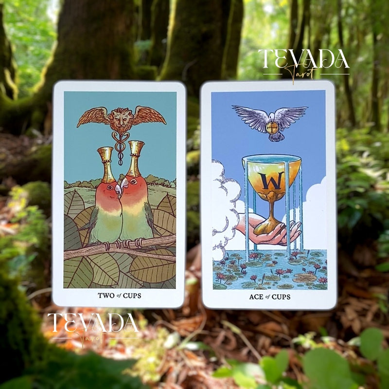 Discover the Into the Wild Tarot &amp; Oracle 2in1 Deck. 78 tarot cards and 22 oracle cards with stunning animal illustrations. Ideal for intuitive readings, divination, and personal growth. Shop now!