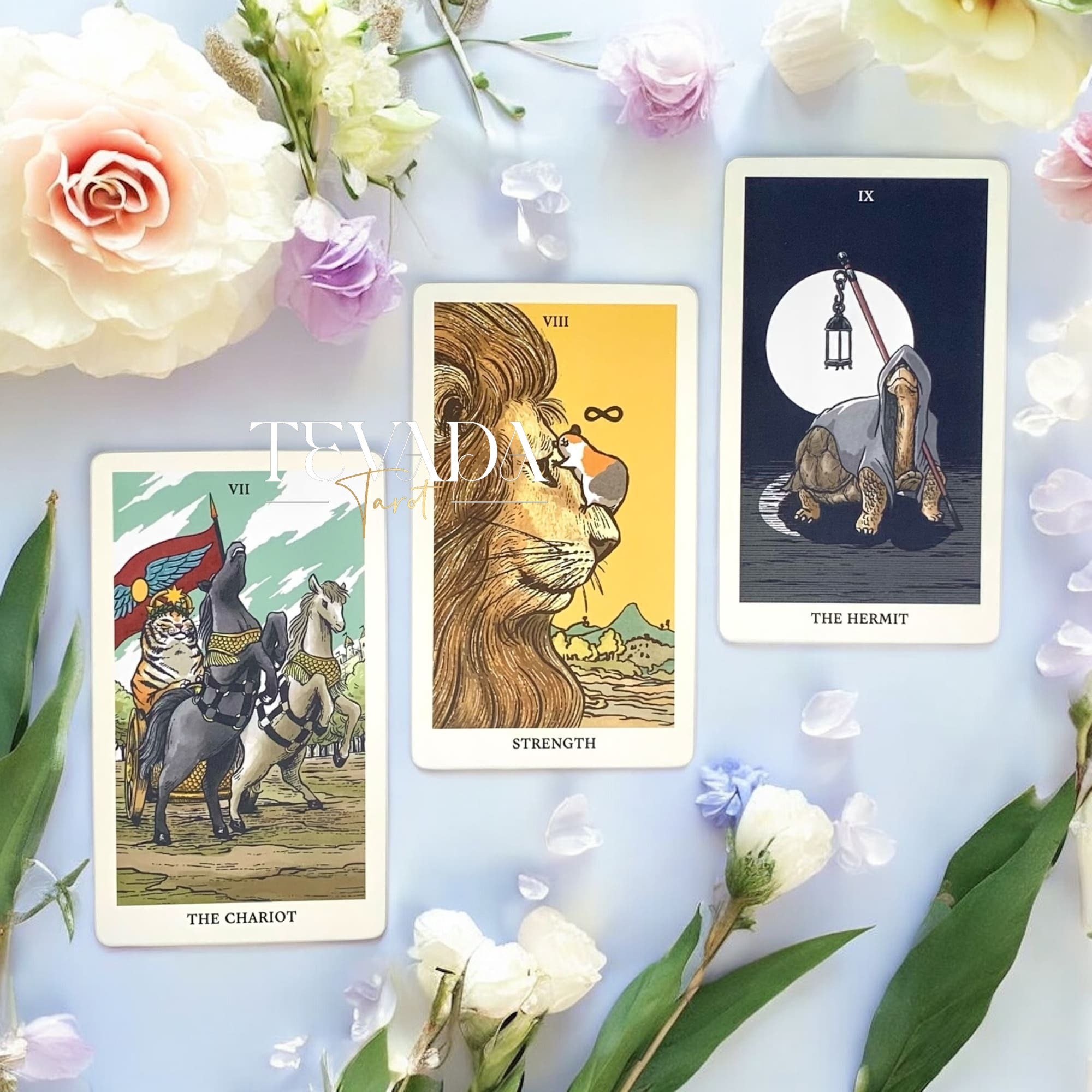 Embark on a journey of self-discovery and spiritual enlightenment with the Into the Wild Tarot &amp; Oracle Deck. With stunning illustrations of animals in the wild and a unique blend of tarot and oracle cards.