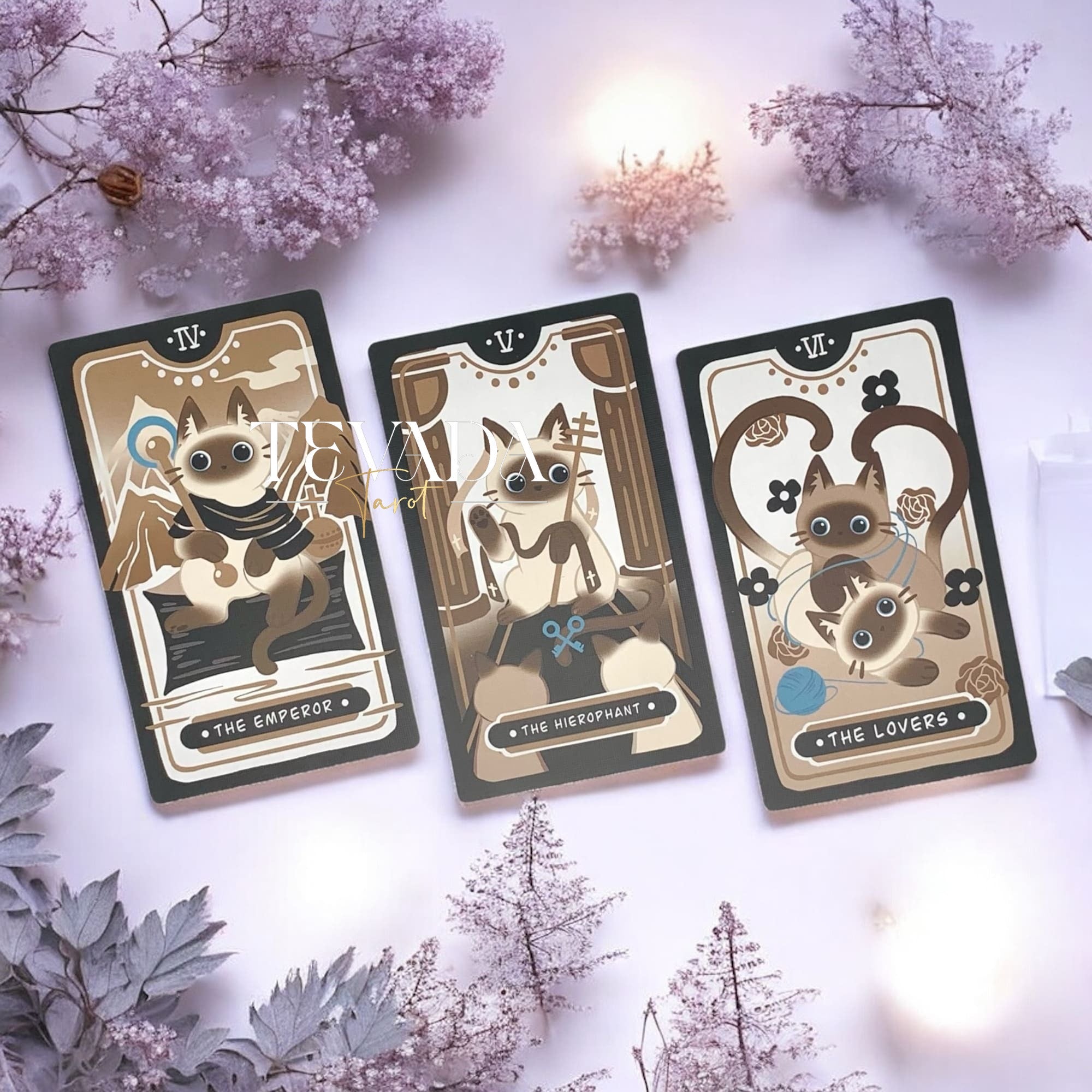 Mocha Siamese Cat Tarot DELUXE Edition | TEVADA Tarot