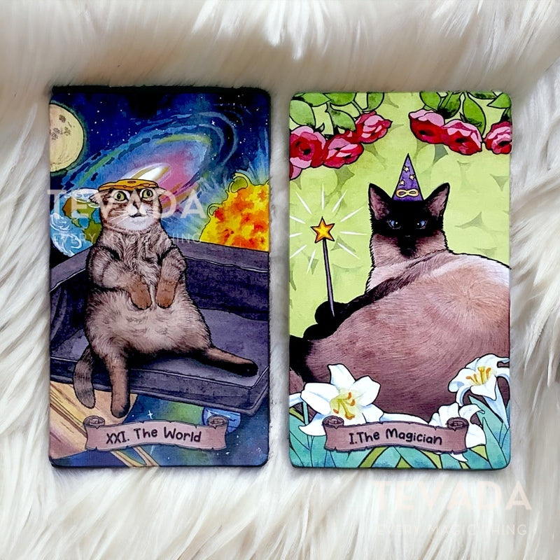 Unveil wisdom &amp; guidance with the Save Cats Tarot LIMITED. Each card features rescued cats &amp; classic tarot meanings. A purrfect gift for cat lovers &amp; tarot enthusiasts.