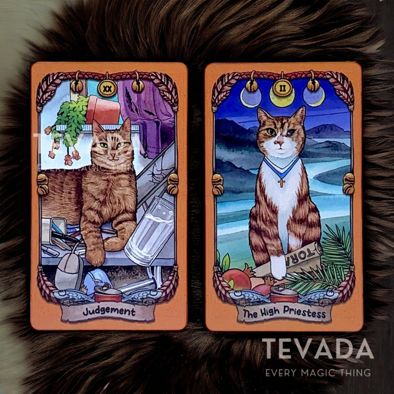 Unleash the purrsonal magic! Save Cats Tarot PVC features rescued cats on each card. Durable, unique & supports cat rescue. Perfect for cat lovers & tarot enthusiasts.
