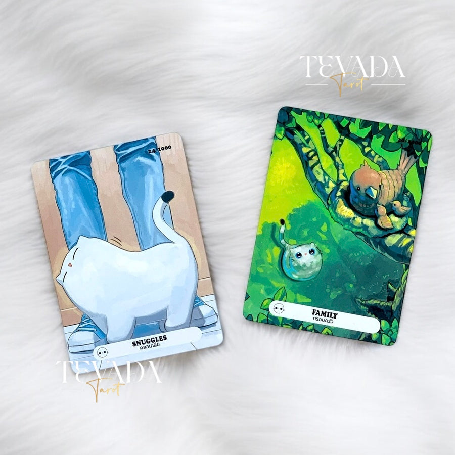 Unlock feline wisdom with the House Cat Oracle, a 30-card deck capturing the magic, warmth, and playful chaos of house cats. Perfect for intuitive guidance and personal growth.