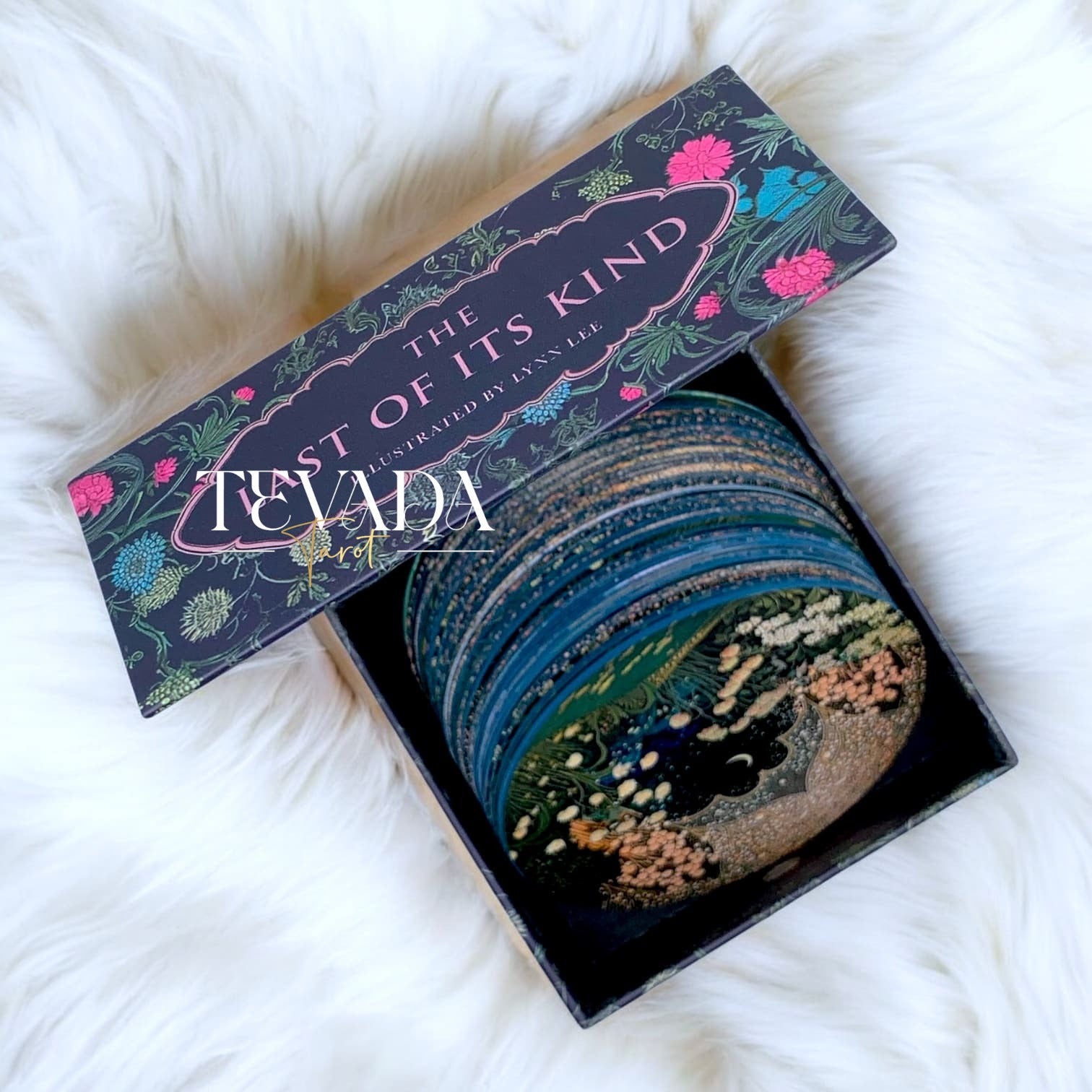 Explore The Last of Its Kind Tarot, a 78-card round deck featuring endangered and extinct animals. Perfect for intuitive readings, personal growth, and connecting with nature&