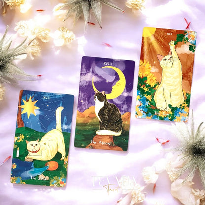 Discover The Revelation of the Cat Spirit Tarot—an intuitive, magical 78-card deck offering feline wisdom, clear guidance, and charming cat-themed divination for daily clarity and spiritual growth.
