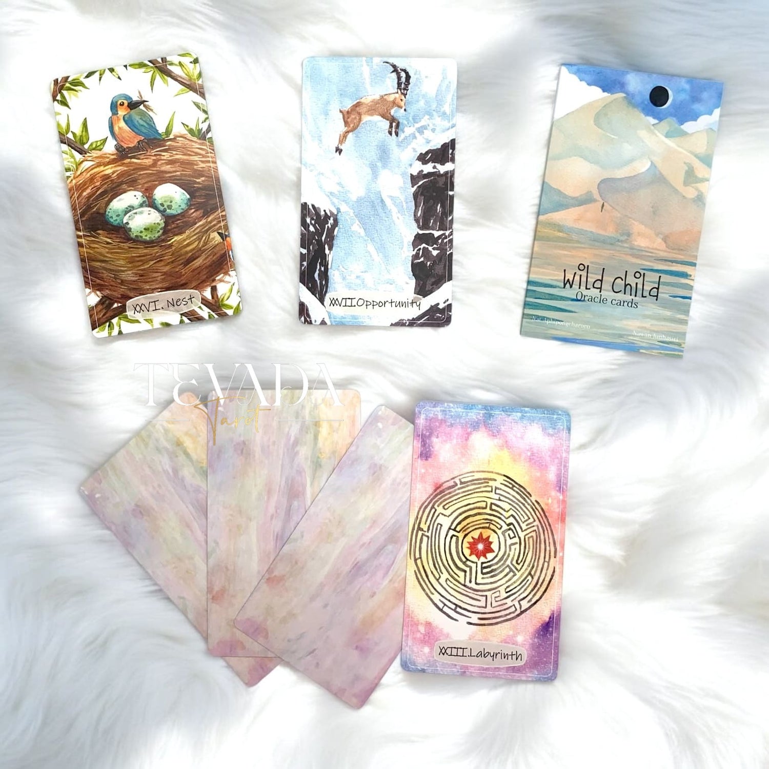 Discover the magic of self-discovery with Wild Child Oracle II. This 40-card cute oracle deck offers intuitive insights in a sea-themed box. Elevate your spiritual journey today