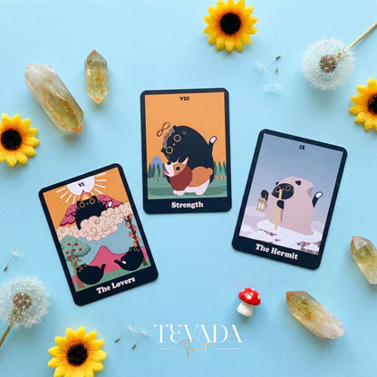 Yinyang the Cat Tarot Origin Boxset whimsical cartoon Indie Tarot Cards for balance and self-reflection