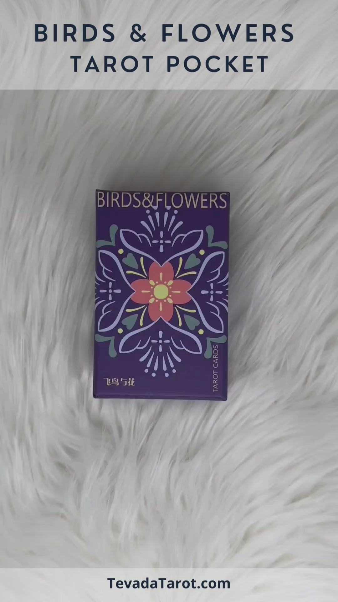Birds & Flowers Tarot POCKET
