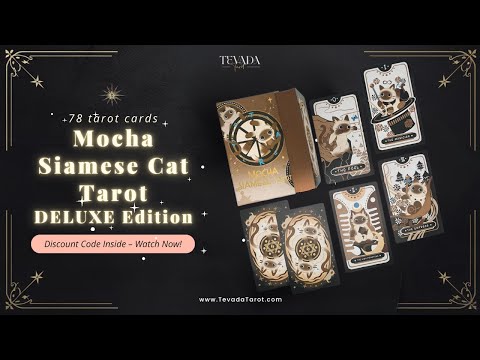 Tarocchi del gatto siamese Mocha Edizione DELUXE