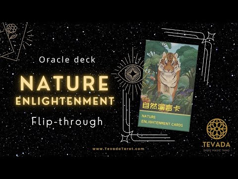 Nature Enlightenment Cards