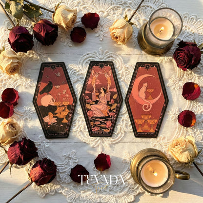 Aisling Tarot Gilded Edt featuring gothic violin art and coffin box for shadow work divination.