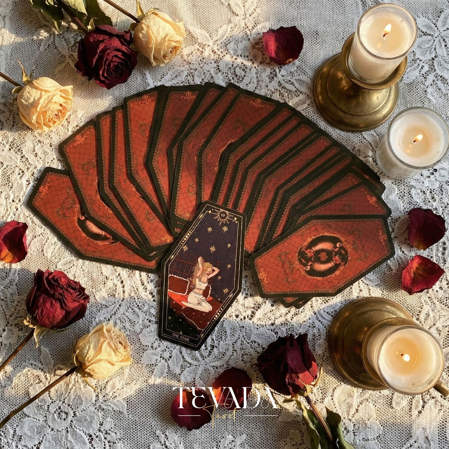Aisling Tarot Gilded Edt featuring gothic violin art and coffin box for shadow work divination.