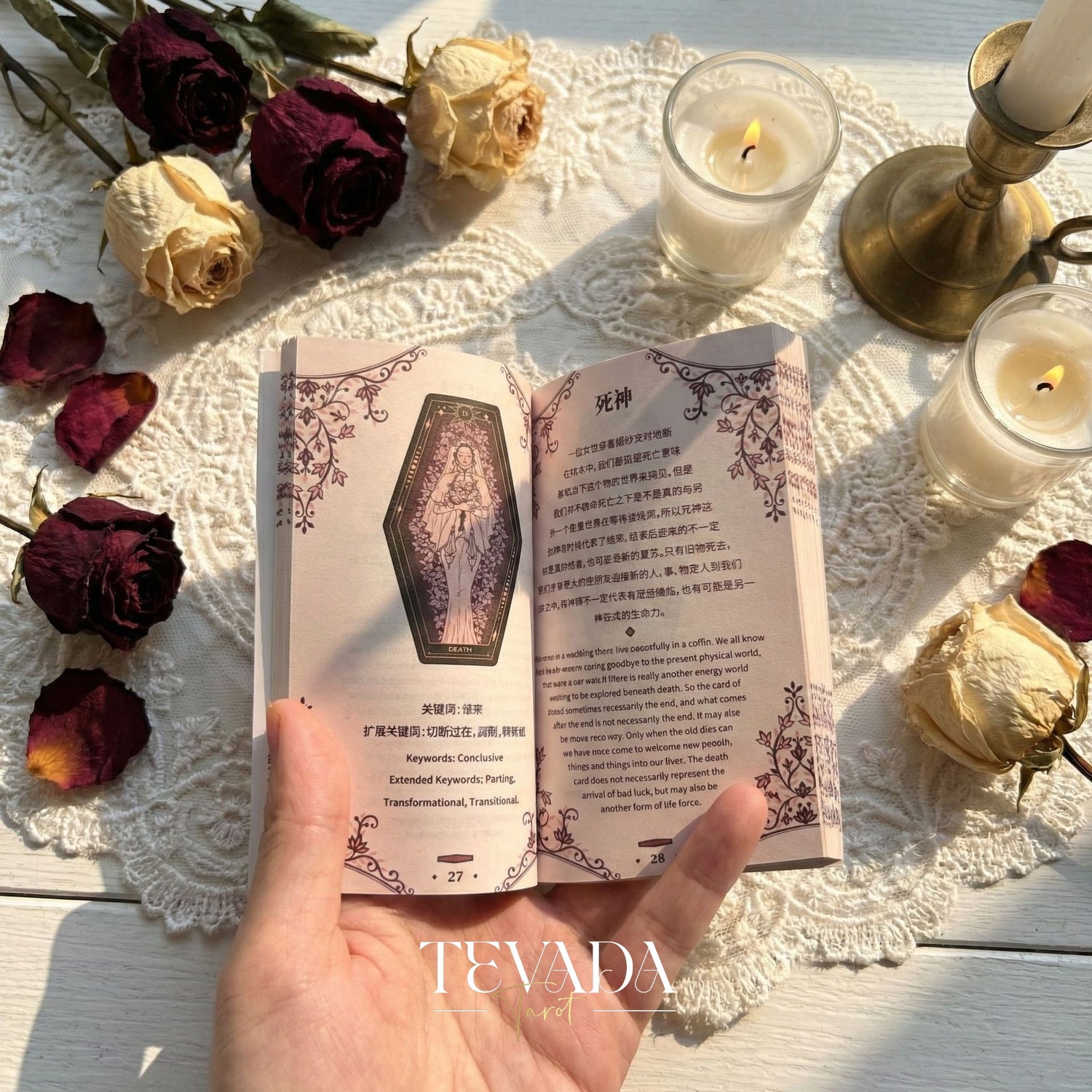 Aisling Tarot Gilded Edt featuring gothic violin art and coffin box for shadow work divination.