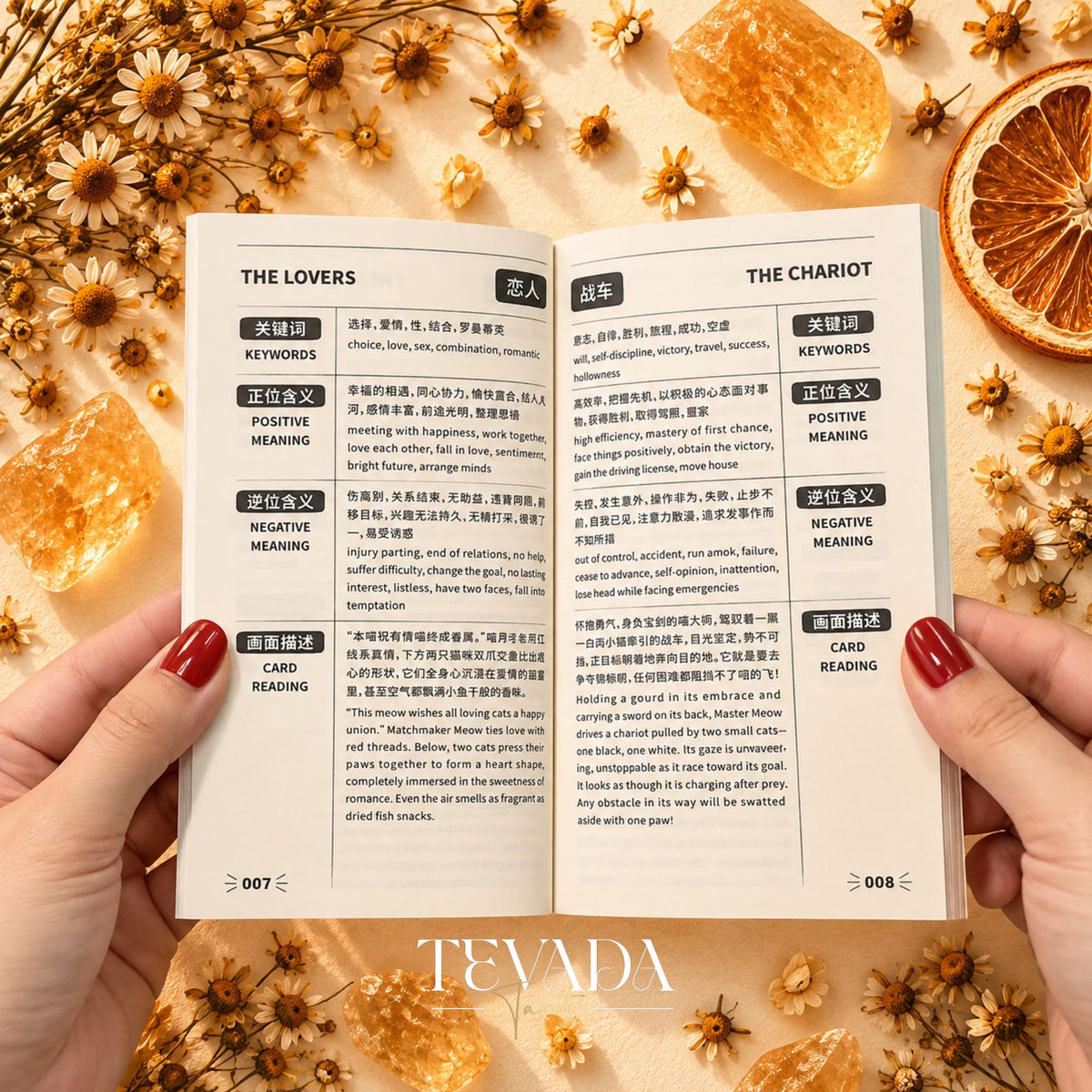 Cat Charm Tarot Deck and illustrated cards displayed together with an English guidebook in a warm product layout.